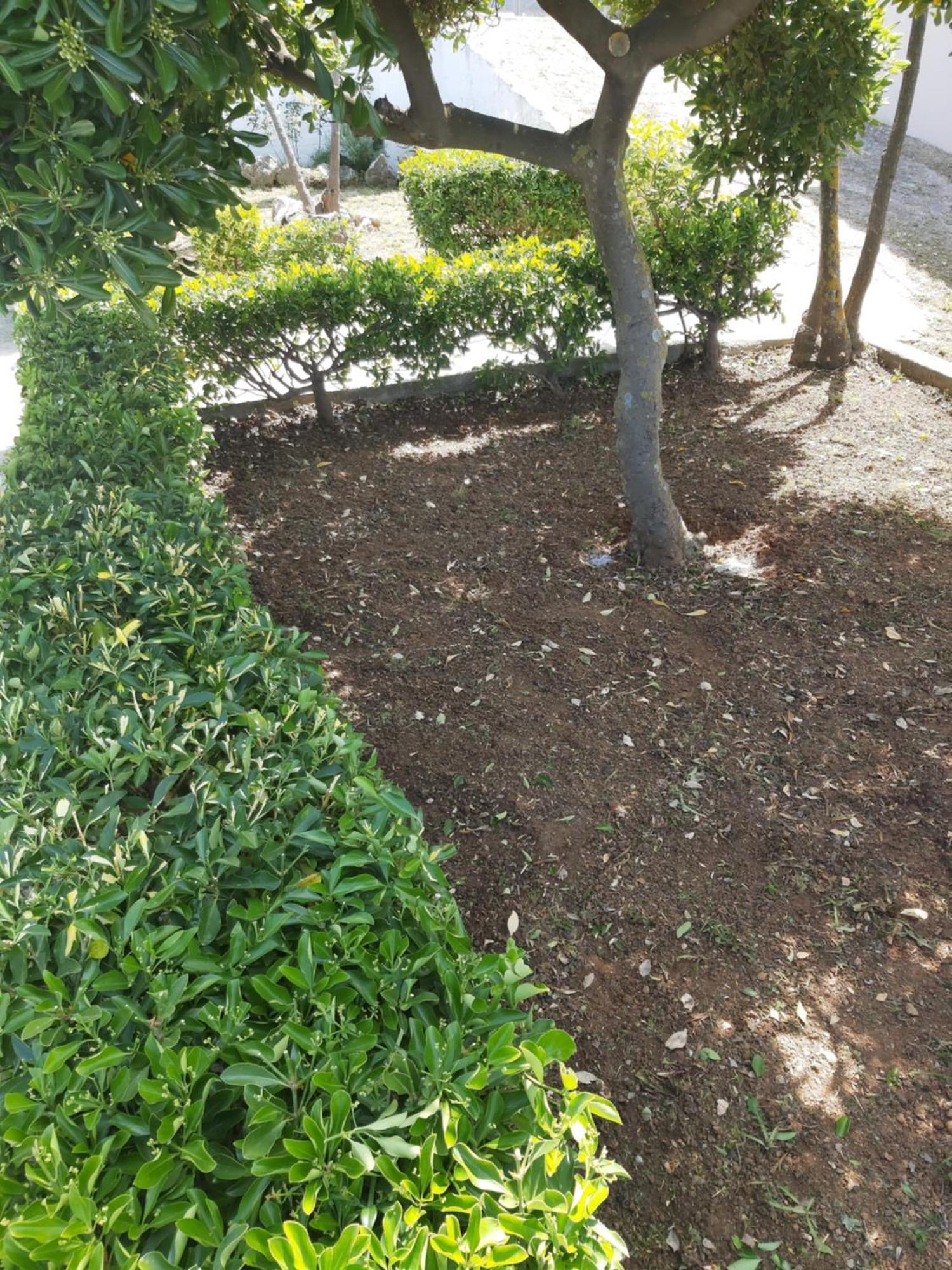 Giannis Stella Apartment Mourteri Exterior photo